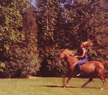 Donna-Marie-on-her-horse1